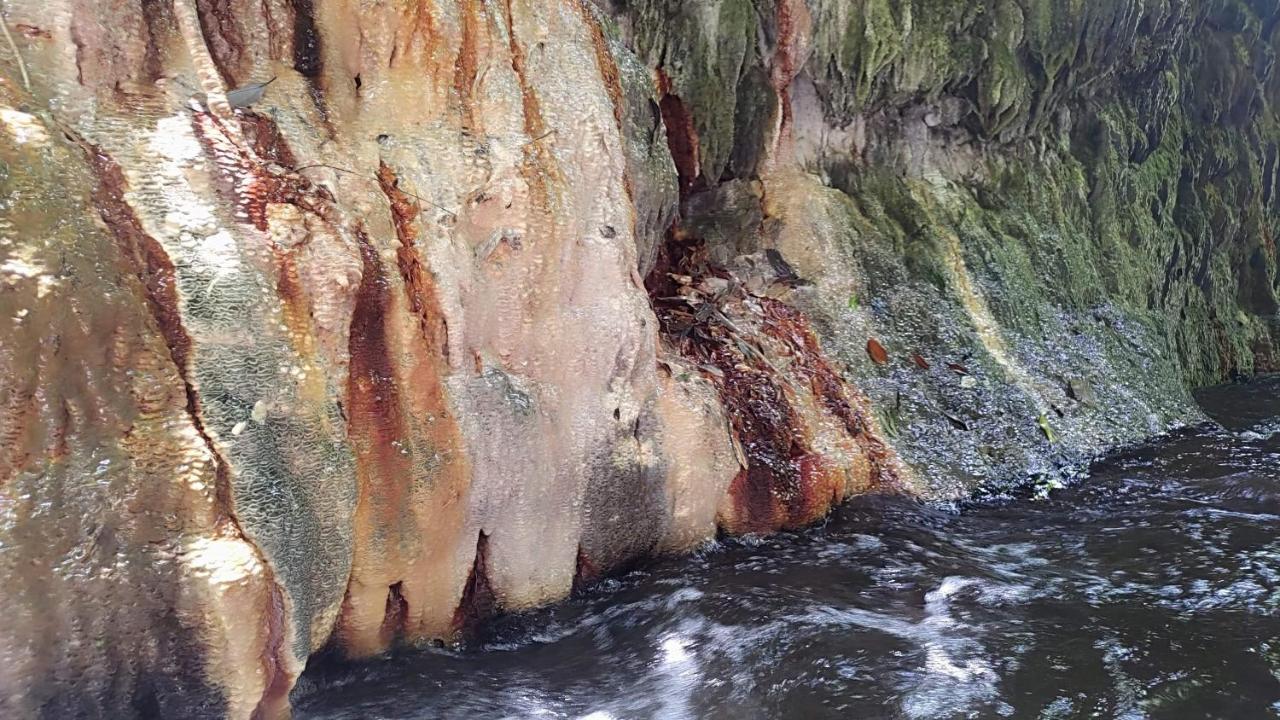 森之秘湯 Mhuwe Hotspring Apartment เหรินอ้าย ภายนอก รูปภาพ